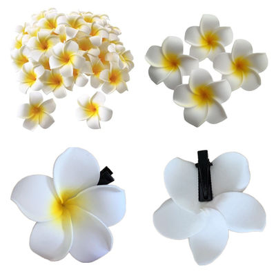Clip Frangipani con varios diseños para su colección de accesorios